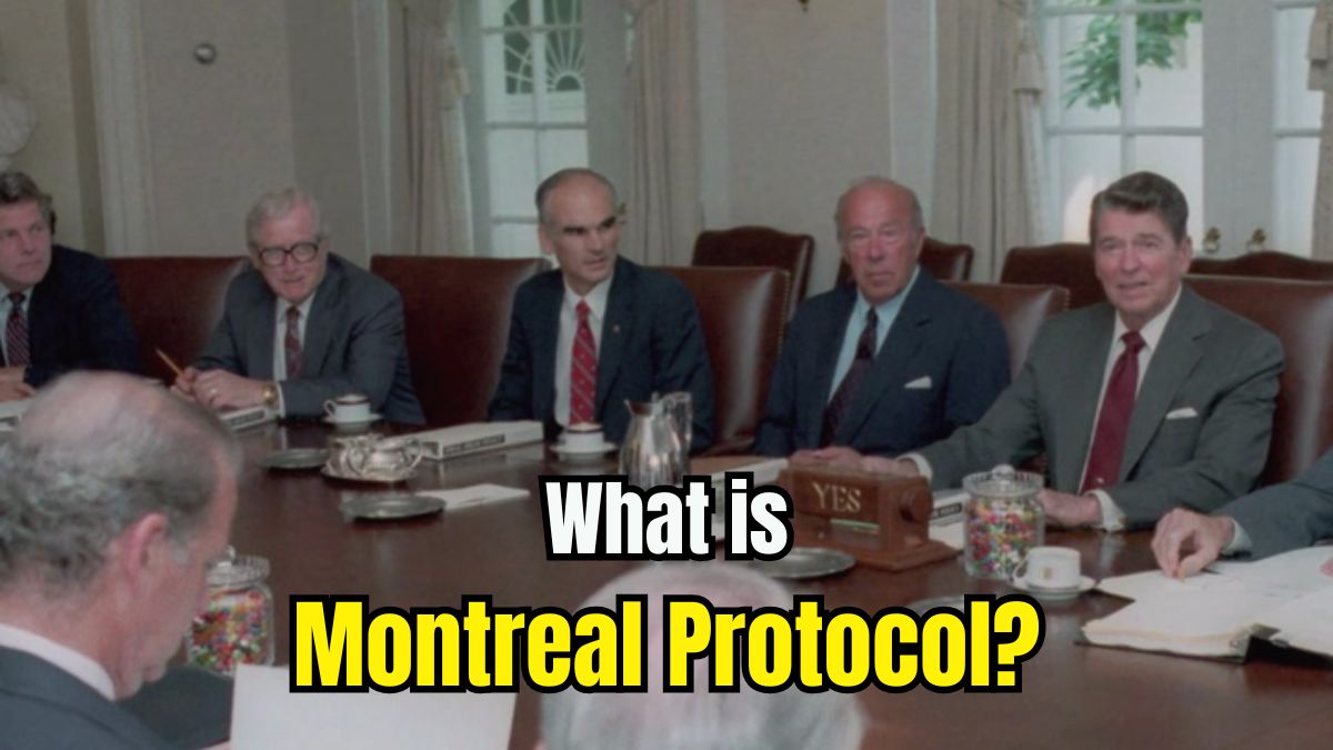 What is Montreal Protocol? Check its Goal and Significance