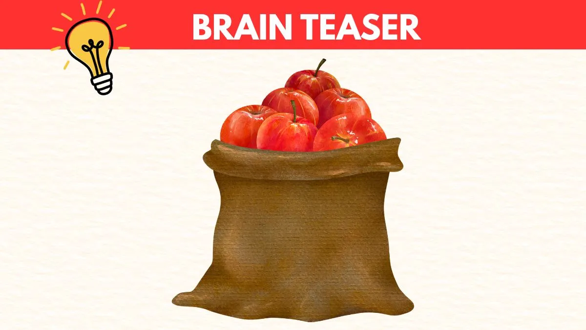 Brain Teaser