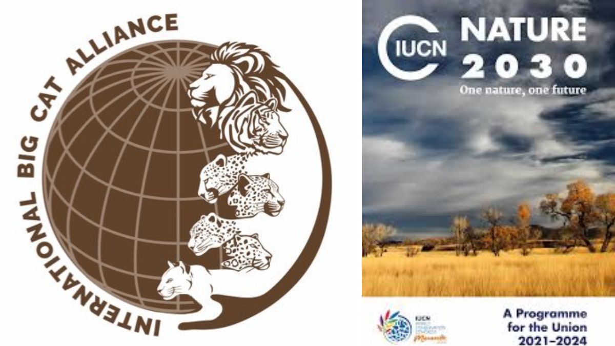 General Knowledge Question & Answer on IBCA& Nature 2030 Programmes