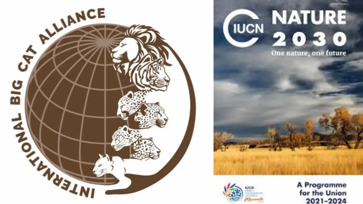 General Knowledge Question & Answer on IBCA& Nature 2030 Programmes