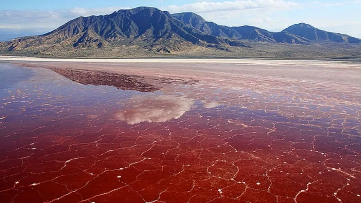 List of Top 10 Alkaline Lakes in the World