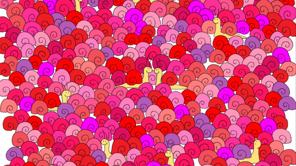This Optical Illusion Will Test Your Brainpower In 5 Seconds! Can You Spot The Hidden Heart?