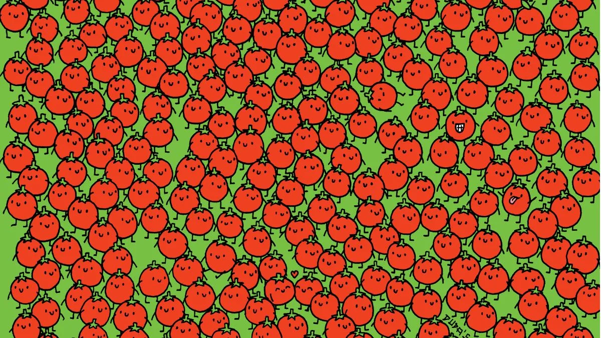 Spot three tomatoes.