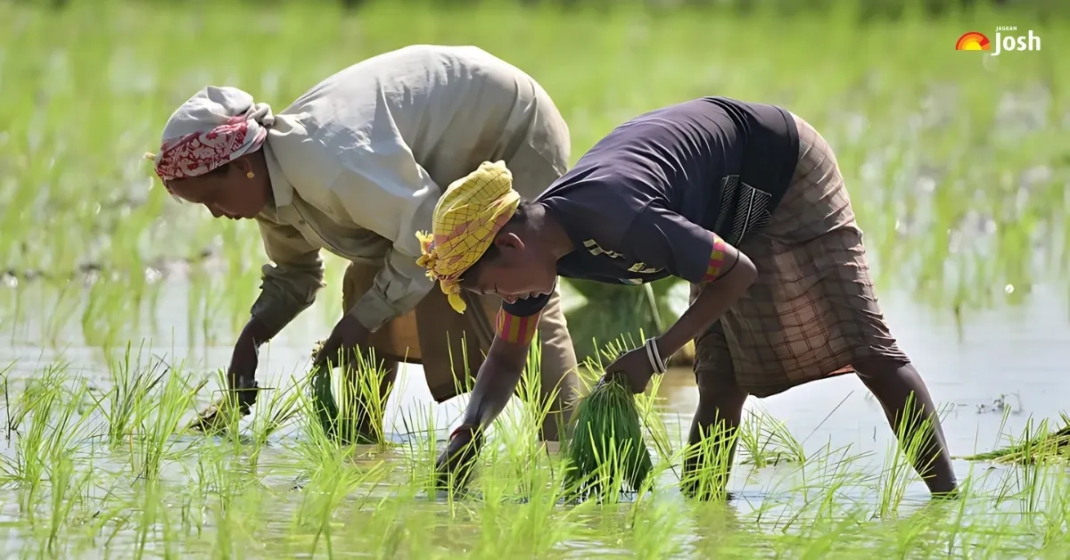 Largest Rice-Producing Countries in the World