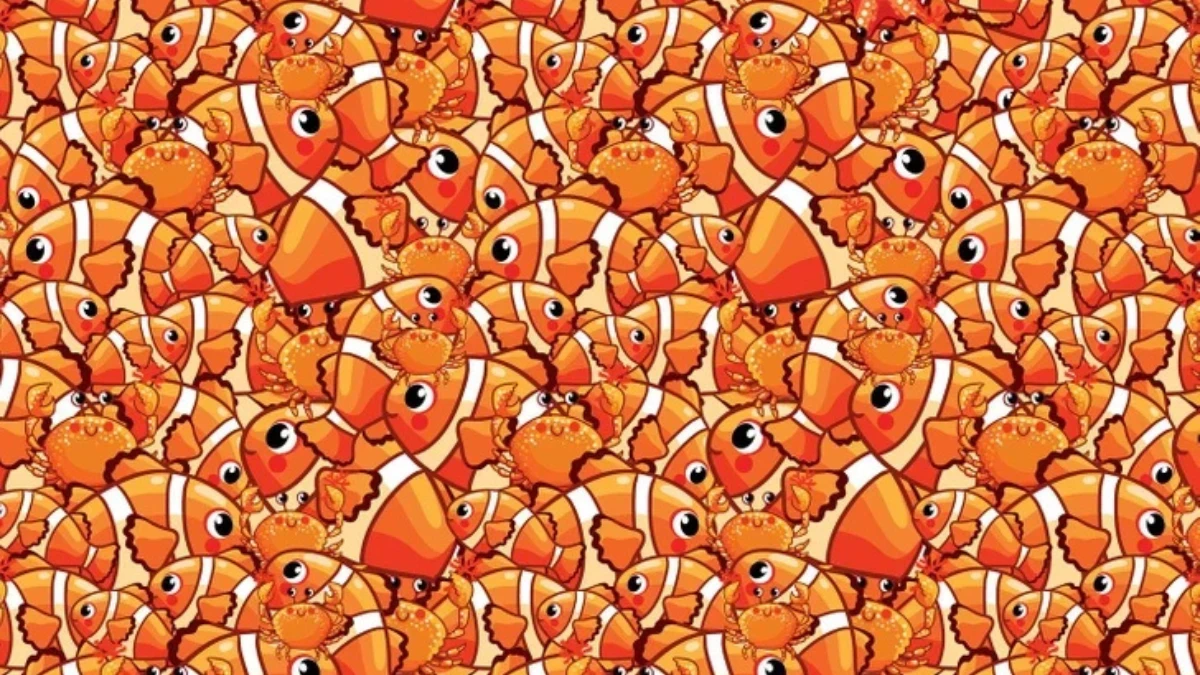 Only 1% with shark eyes can spot the starfish in 5 seconds!
