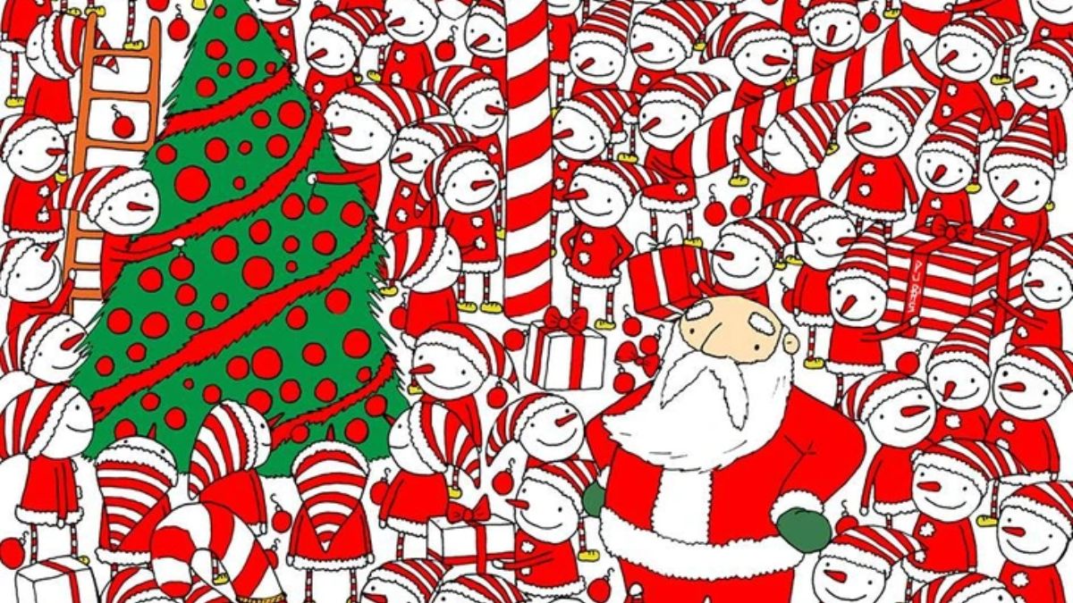 Prove You Have Hawk's Eye Vision, Help The Santa Find His Hat In 12 Seconds!