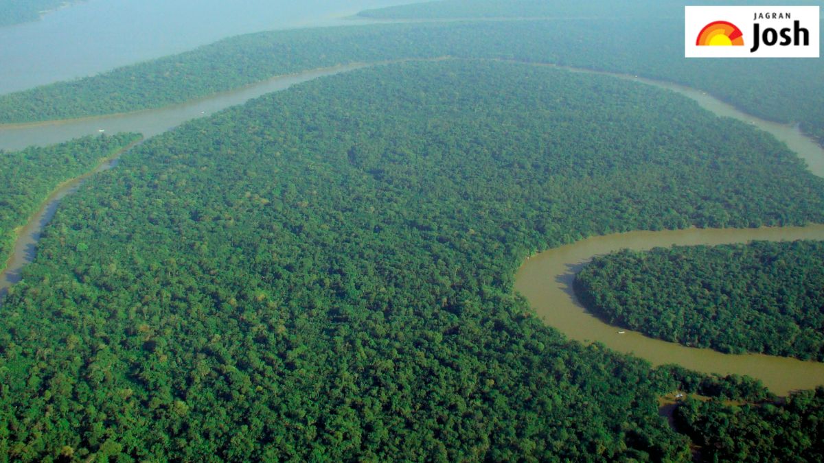 भारत का सबसे बड़ा वन क्षेत्र वाला राज्य कौन-सा है, जानें नाम