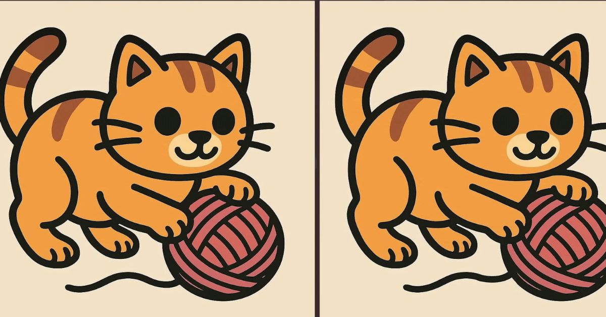Spot the 3 Differences in Cat Playing With Ball of Yarn Beat the 43-Second Challenge!