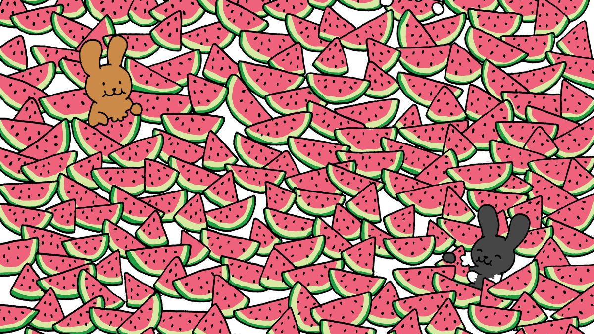 Only Top 1% With 20/20 Vision Can Spot 4 Seedless Watermelons In 10 Seconds! Can You?
