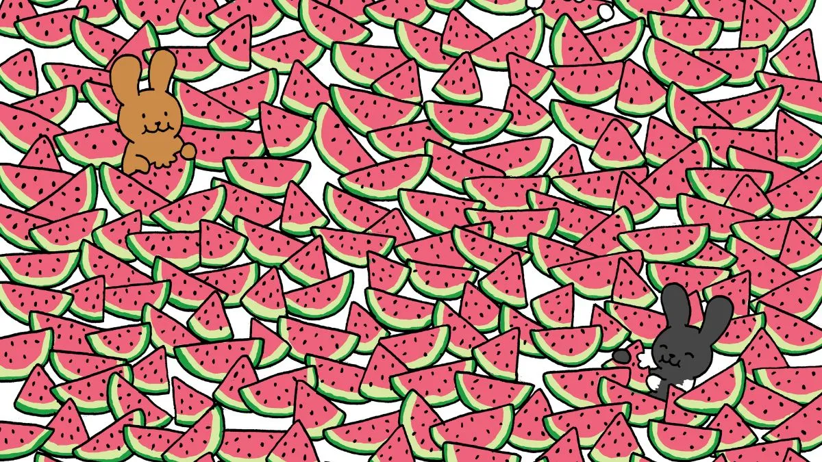 Spot 4 seedless watermelons.