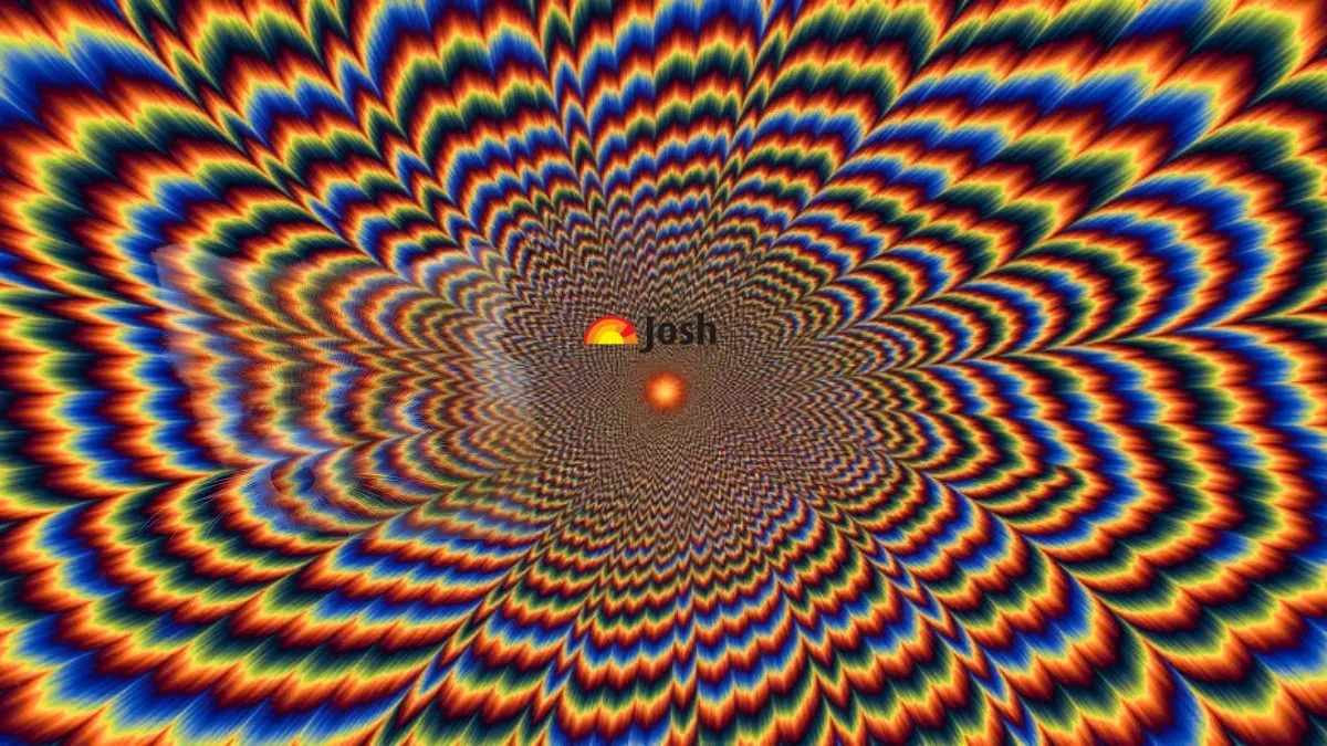 Find out the Hidden Red Panda in this Psychedelic Visual Art Optical Illusion