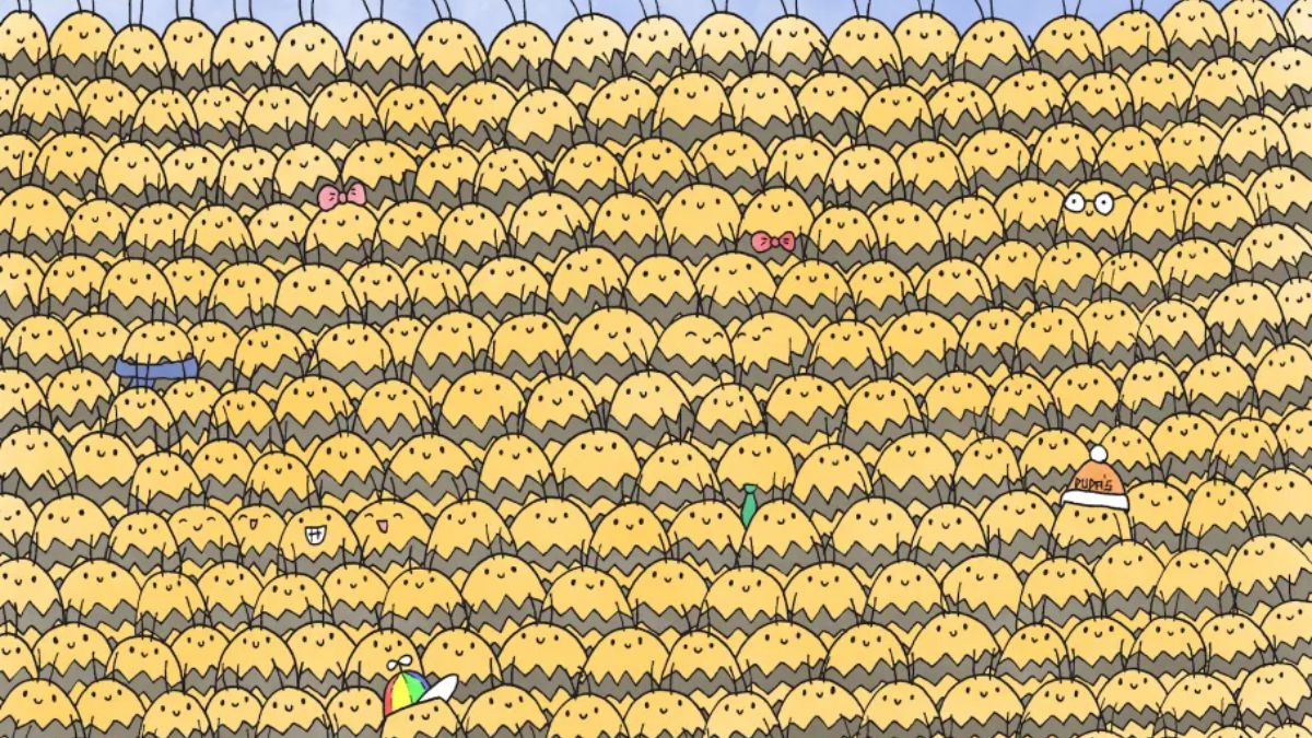 Is Your Brain Sharp Enough To Spot The Hidden Queen Bee In 15 Seconds?