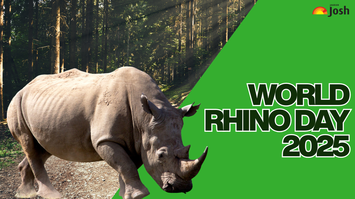 What is World Rhino Day? Why is it celebrated? Check Interesting Facts Here