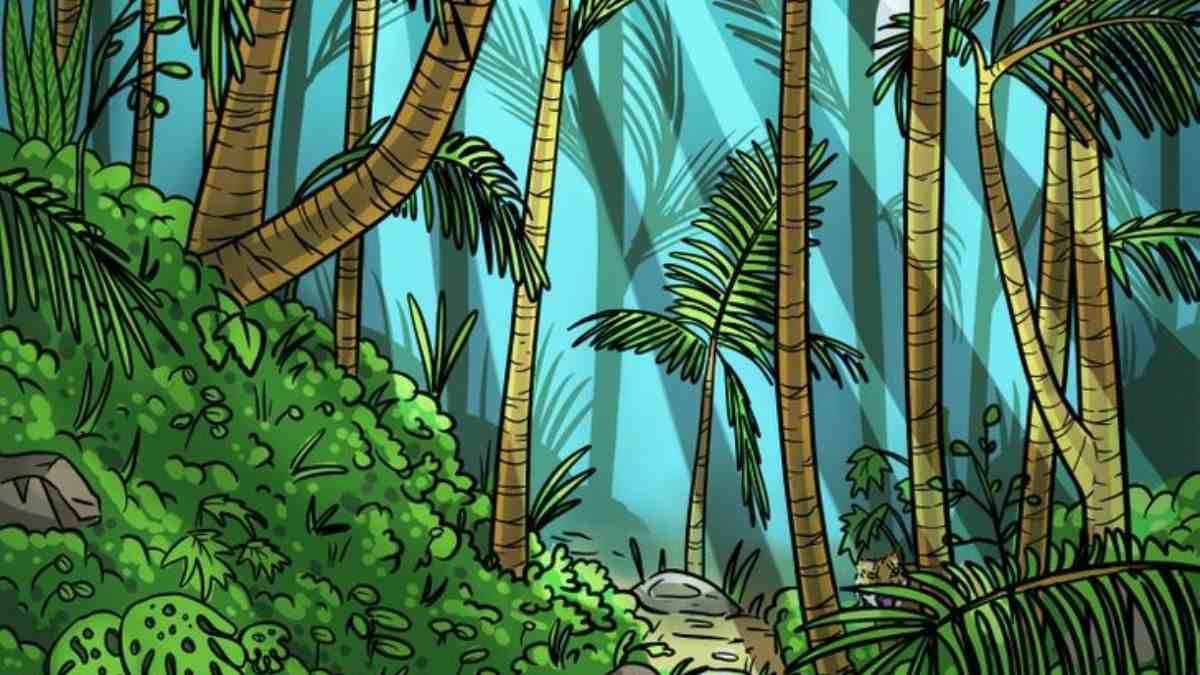 If You Possess 4K Vision and Exceptional Observation, Spot The Tiger In 22 Seconds!