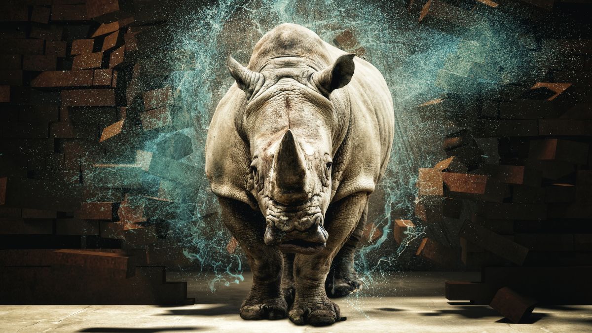 Top 10 Countries with the Most Rhino Population (2025)