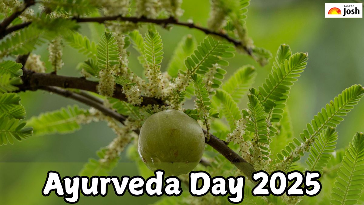 Ayurveda Day 2025:- Government Launches AYUSH Centres of Excellence, Check Full List