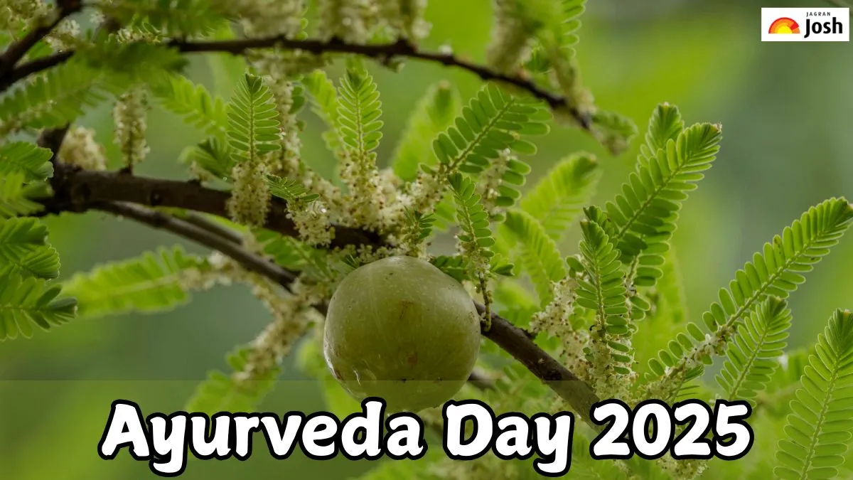 Ayurveda Day 2025