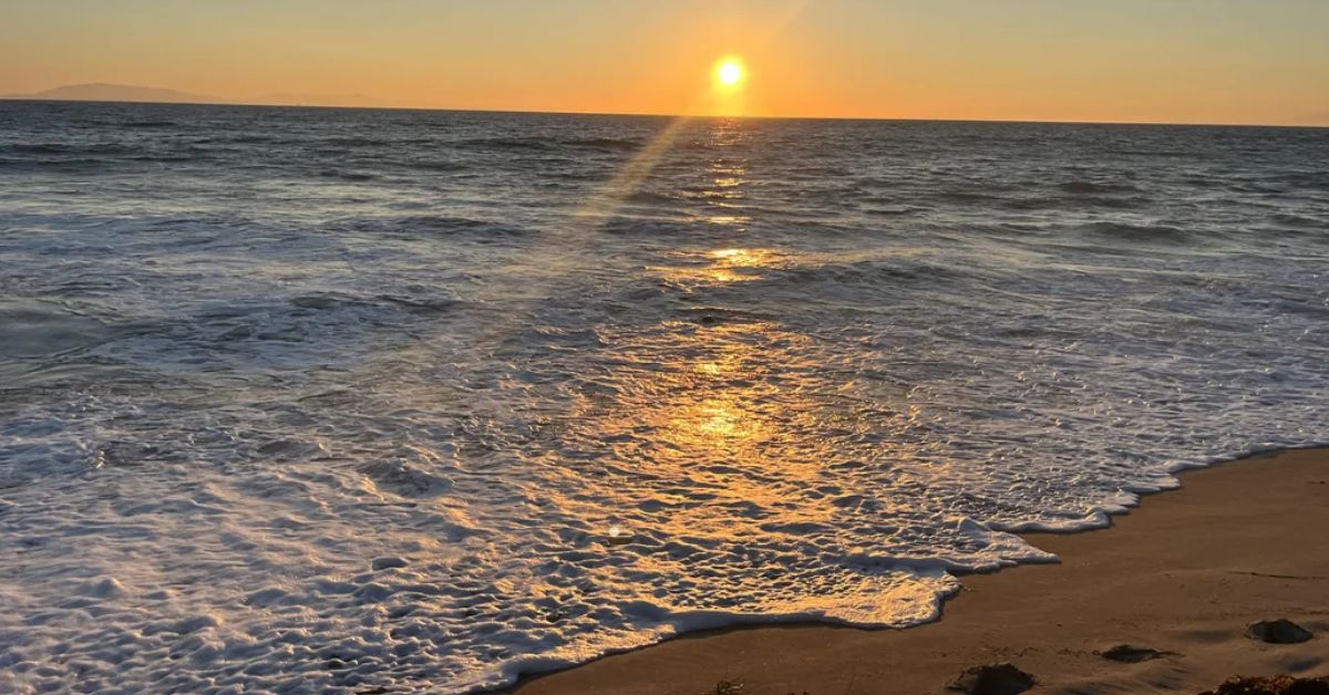 Think You’re the Ultimate Beach Enthusiast? Try Finding the Seal Hidden in This Sunset Beach Optical Illusion