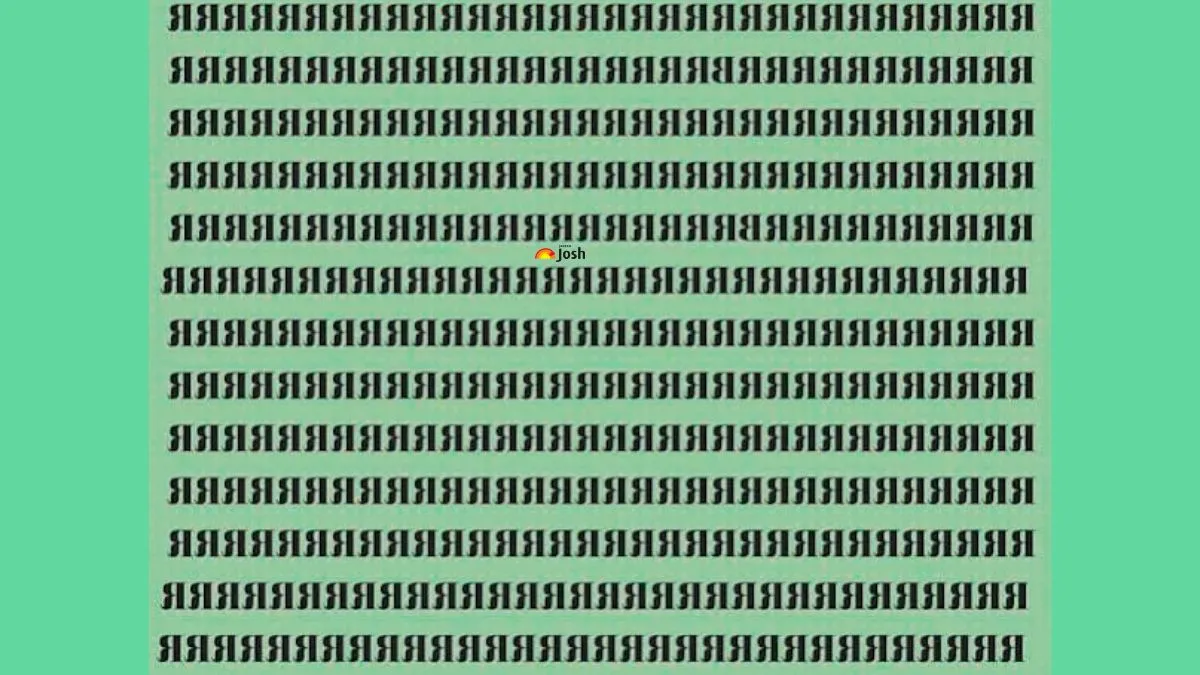 Find out the two hidden inverted “B’s” in this “R” Inverted Visual Brain Teaser Series