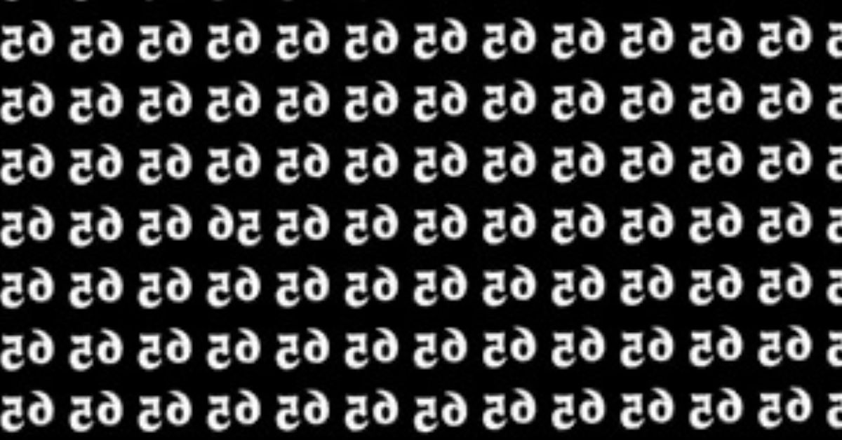 Only the Sharpest Minds with Eagle Vision and a High IQ of 119 Will Be Able to See the Hidden 95 in This Flipped Illusion