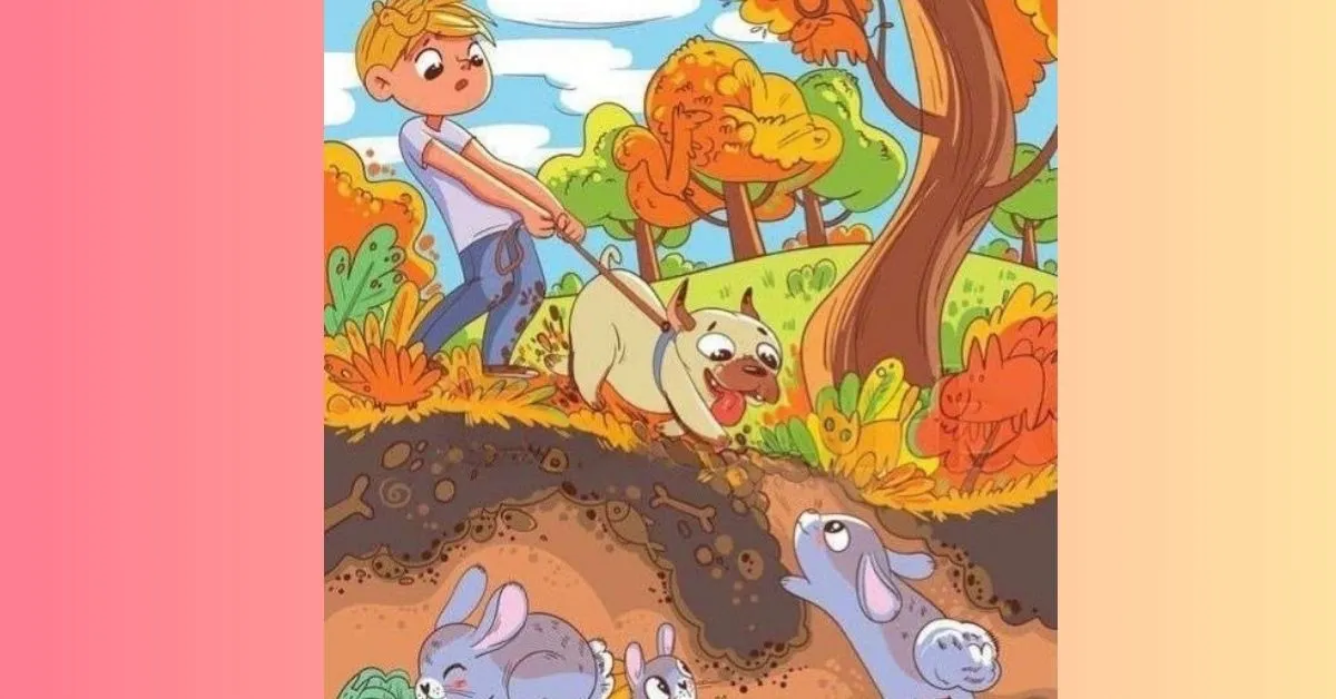Find the Hidden Snail