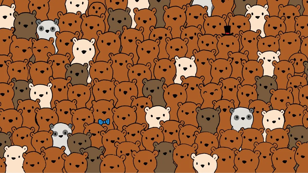 Spot three coconuts hidden among the bears!