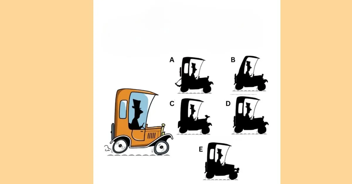 Find the Correct Shadow