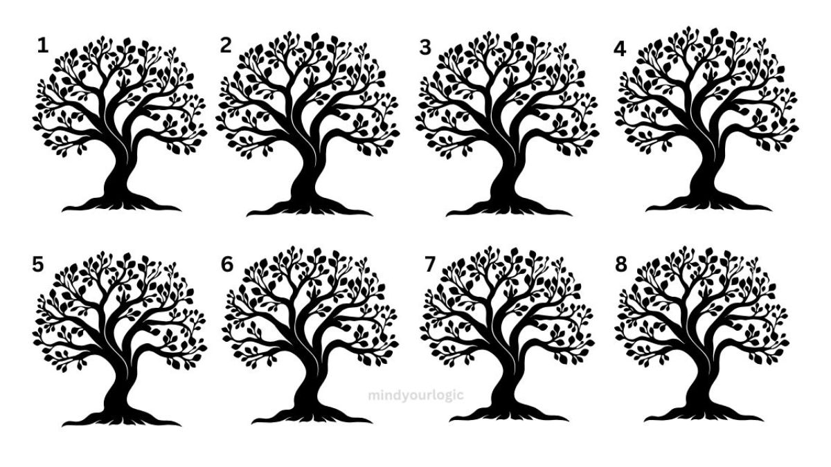 If you possess 140+ IQ Level with HD-Eye Vision, then find the hidden odd tree in this optical Illusion Brain Teaser IQ Test