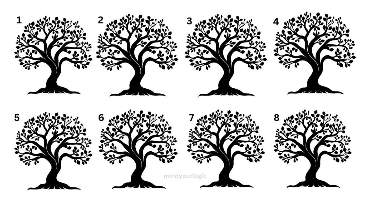 Find the hidden odd tree in this optical Illusion Brain Teaser IQ Test