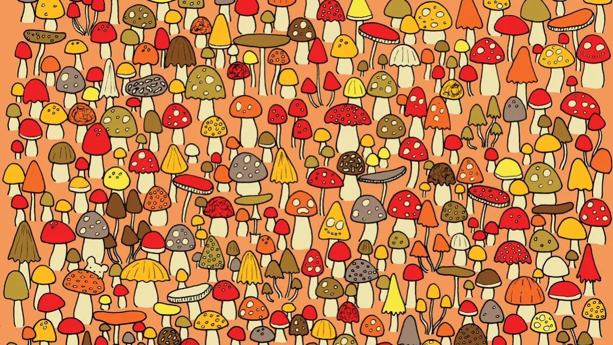 Find the mouse!