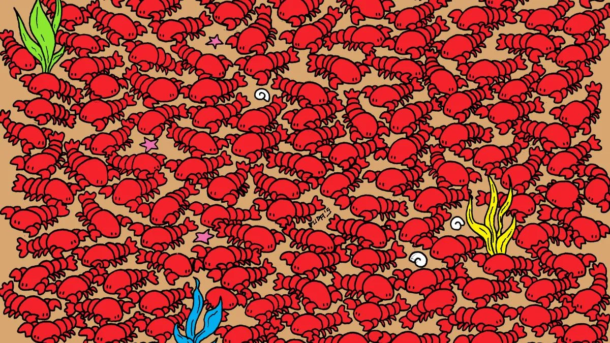 Spot four crabs!