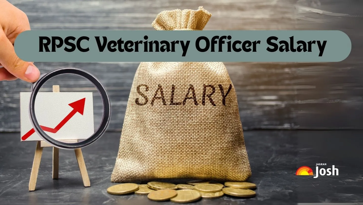 RPSC Veterinary Officer Salary