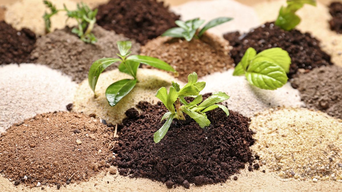 List of 5 Types of Soil in India
