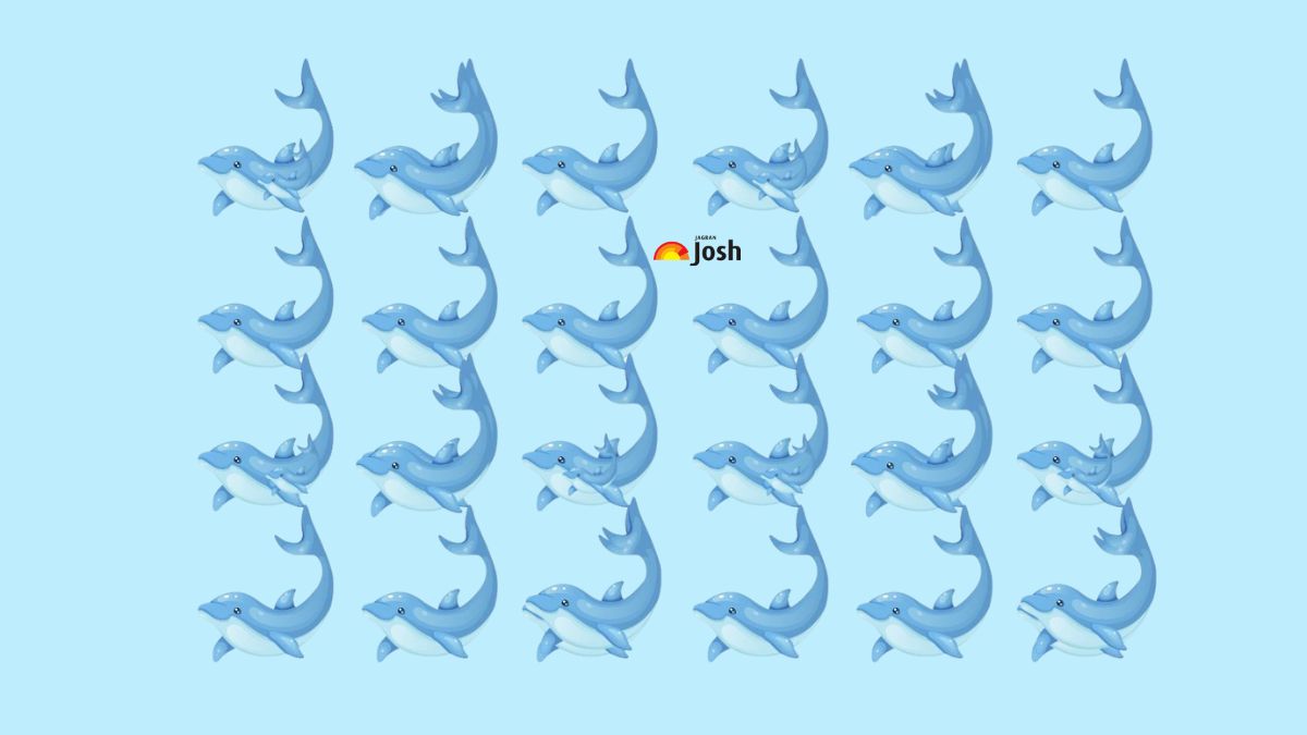 Have you ever tried your Hawk-Eye Vision with Einstein-level IQ? Then, try this Optical Illusion Brain Teaser IQ test by counting the Exact Number of dolphins!