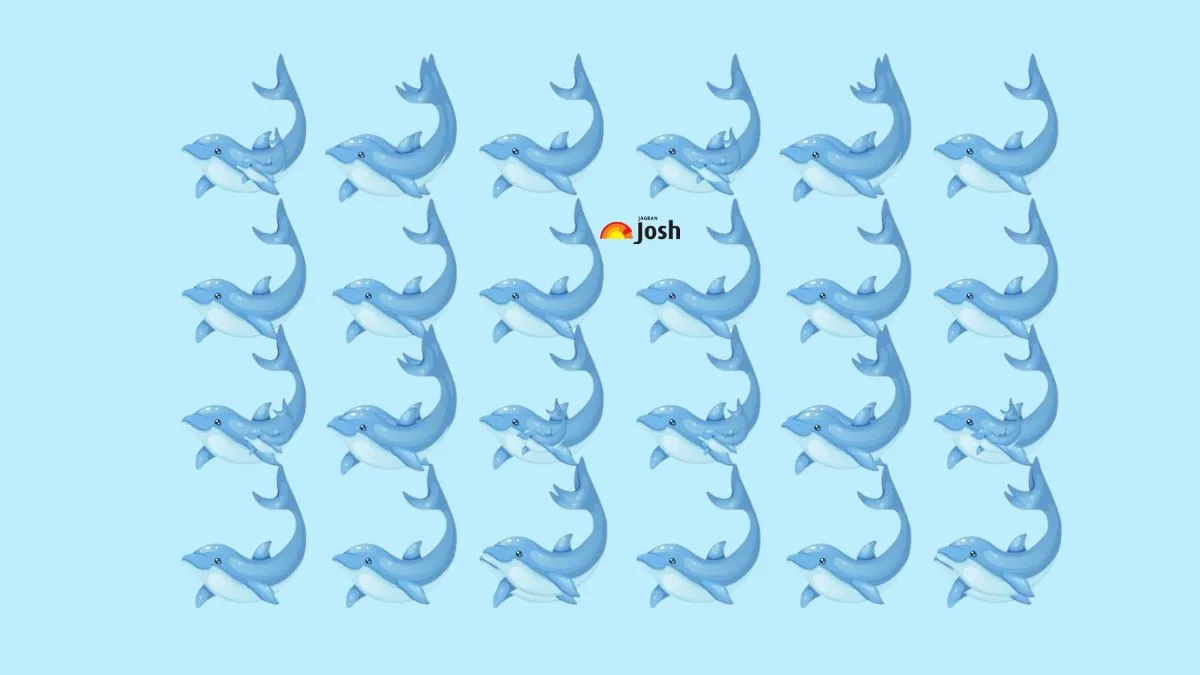 Count the Exact Number of Dolphins in this Optical Illusion Brain Teaser IQ test