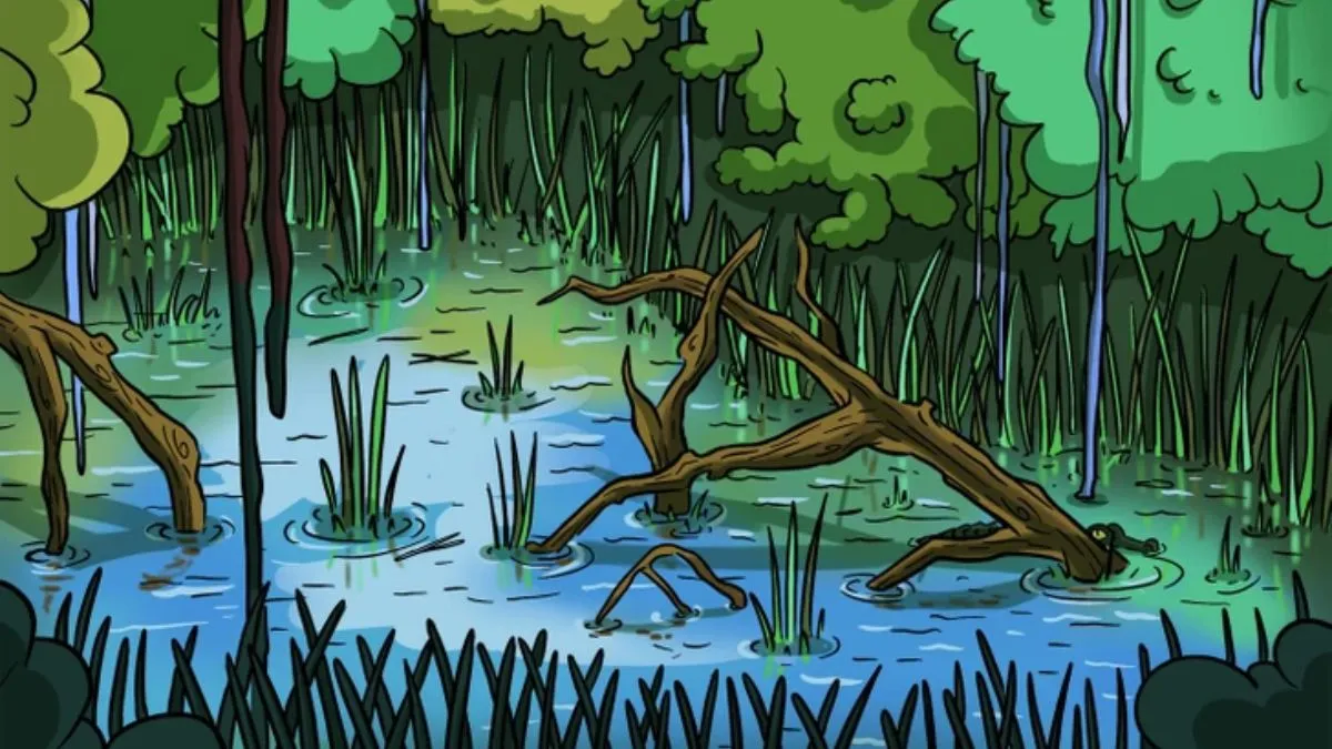 Find the crocodile!