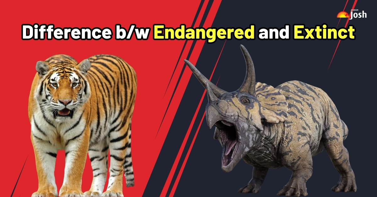 Difference between Endangered and Extinct