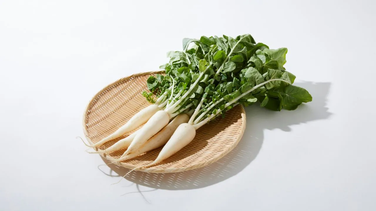 which country is the largest exporter of radish in the world