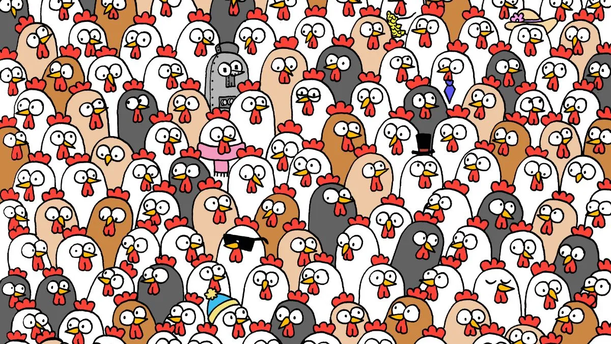 Spot three owls.