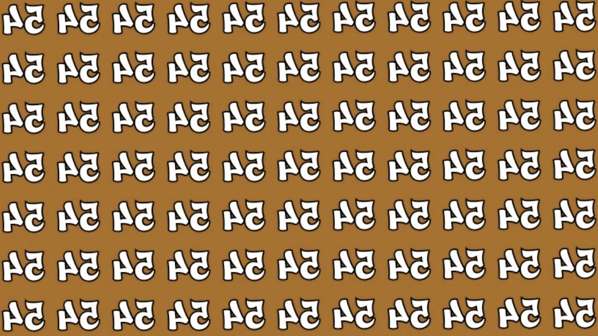 If you possess HD-Eye Vision with 20/20 EyeSight, then find out the Inverted “45” and “64” in this “54” Repeating Unintelligible Brain Teaser Series