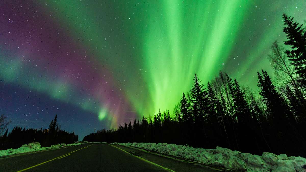 Northern Lights Forecast: U.S. States Where You Could See the Aurora on Thursday Night!