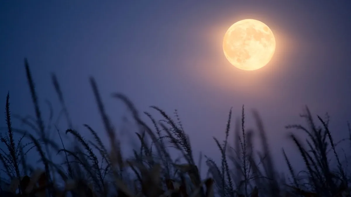 Harvest Supermoon 2025