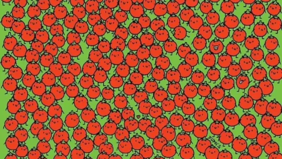 Spot three apples.