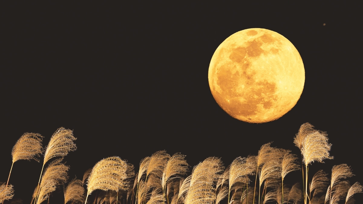 U.S. Harvest Moon vs Hunter Moon in 2025: Know the Differences!