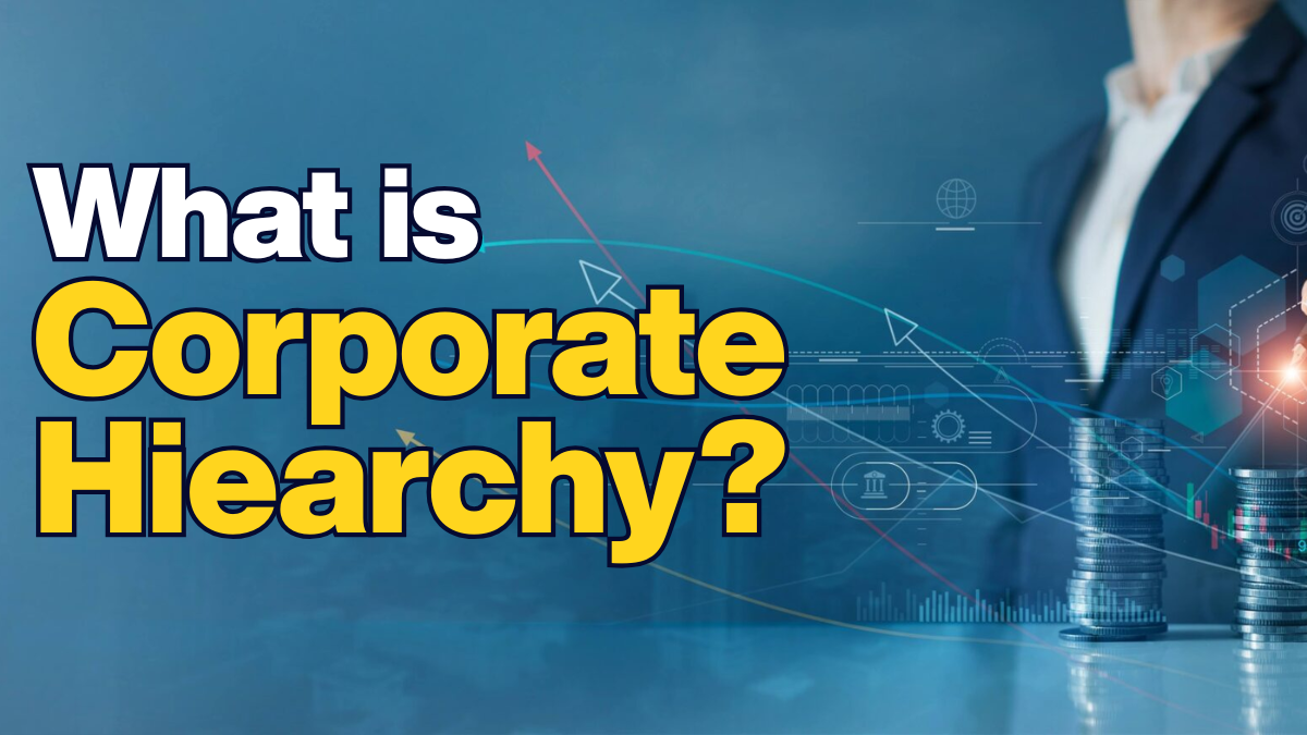 What is a Corporate Hierarchy? List of Job Titles and Roles