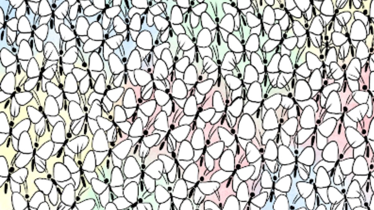 Everyone Can See The Butterflies! But Only Top 1% With Sharpest Vision Can Spot The Hidden Ant In 25 Seconds!
