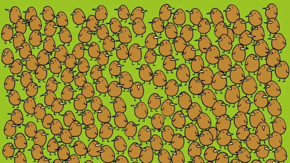 Spot four kiwis in 10 seconds!