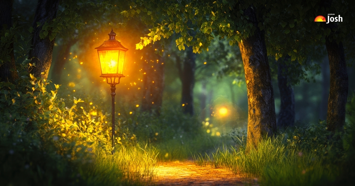 List of 7 Forests in the World that Glow in Dark