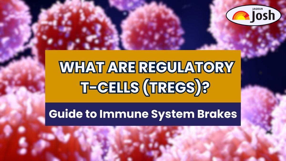 What are Regulatory T-cells? Science Students Must Understand for Which Trio won Nobel Prize 2025 in Medicine