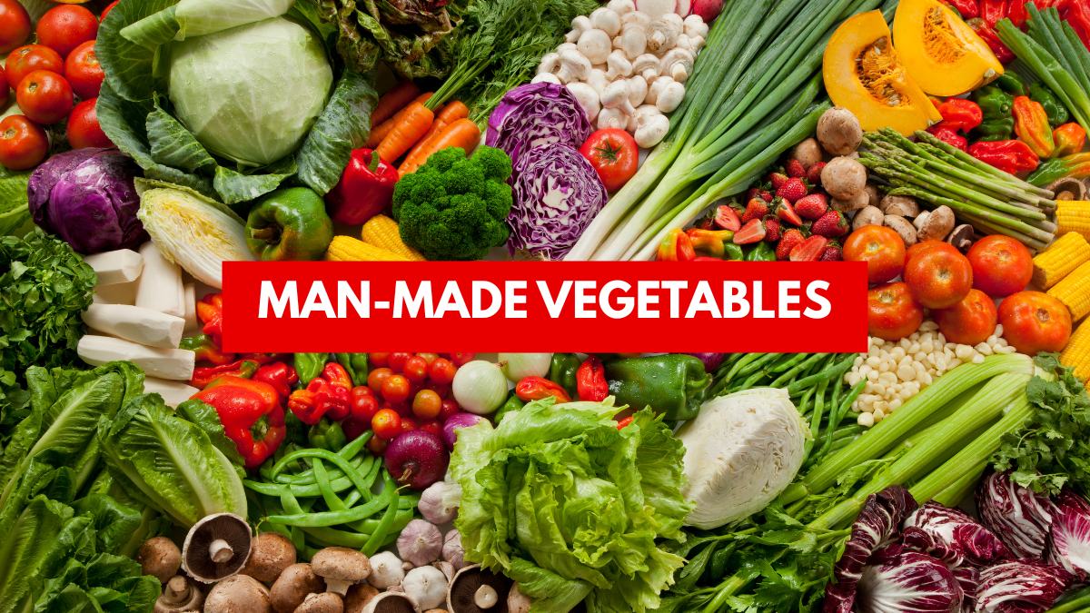 List of Man Made Vegetables